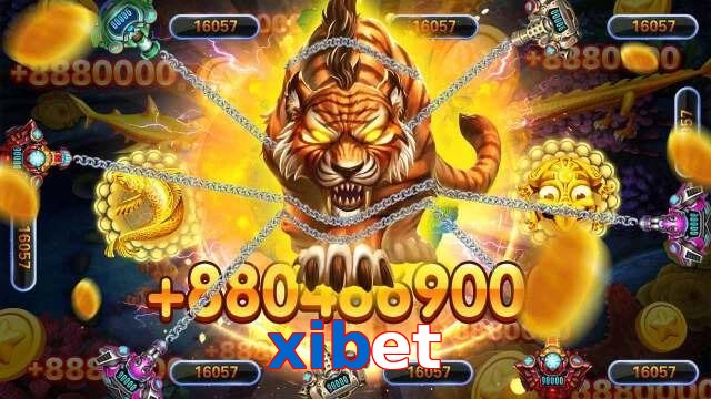 xibet